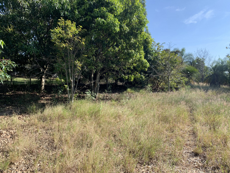 Terreno à venda Santa Eliza com 2000m² e 1 quarto por R$ 400.000 - 121728744-26bd1f6e-0fc8-4586-8b0a-b8a6de64a1a7.jpeg