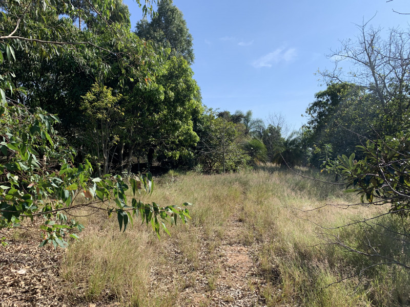 Terreno à venda Santa Eliza com 2000m² e 1 quarto por R$ 400.000 - 575361749-07a599ba-c198-45a5-9edb-a5ce74eb19c3.jpeg