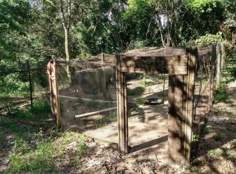 Sítio à venda Centro com 57000m² e 4 quartos por R$ 270.000 - 2046824868-3709877533.jpg