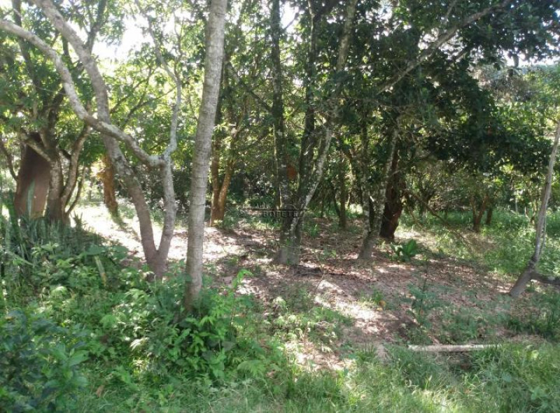 Sítio à venda Centro com 57000m² e 4 quartos por R$ 270.000 - 247799839-3709877589.jpg