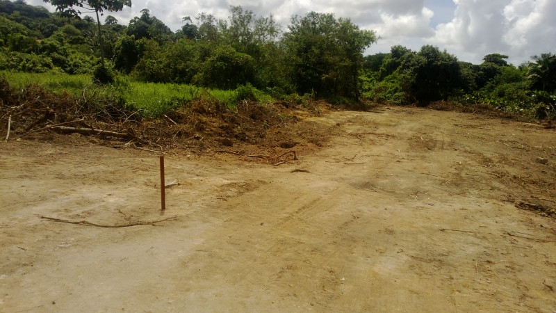 Terreno à venda Apipucos com 7543m² e 1 quarto por R$ 3.000.000 - 1462863509-area-limpa-e-fazendo-topografia.jpg