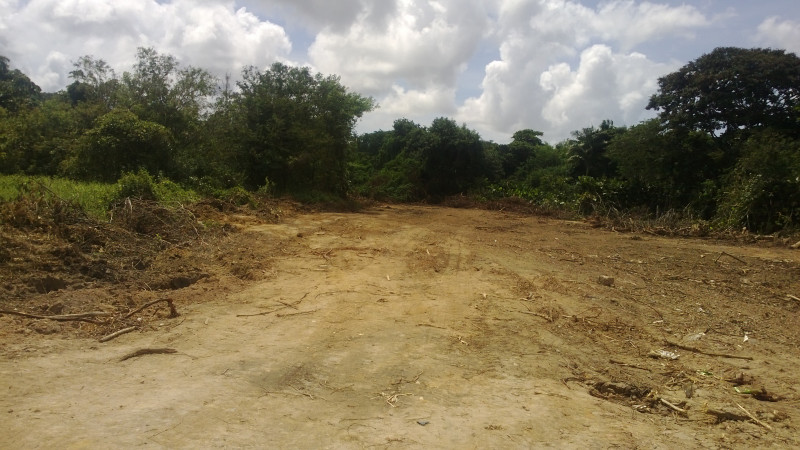 Terreno à venda Apipucos com 7543m² e 1 quarto por R$ 3.000.000 - 2142080113-fotos-do-terreno-limpo.jpg