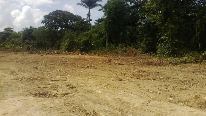 Terreno à venda Apipucos com 7543m² e 1 quarto por R$ 3.000.000 - 77128666-fotos-do-terreno-limpo-1.jpg