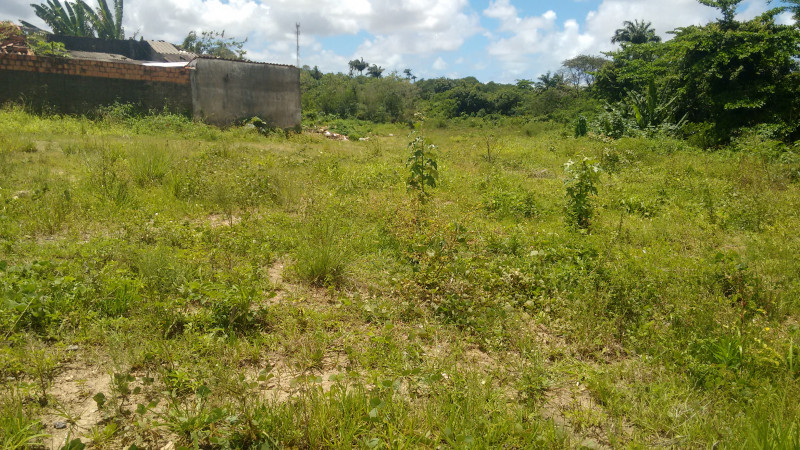 Terreno à venda Apipucos com 7543m² e 1 quarto por R$ 3.000.000 - 799063897-foto-terreno-recife.jpg