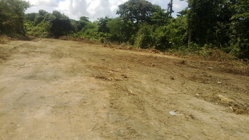 Terreno à venda Apipucos com 7543m² e 1 quarto por R$ 3.000.000 - 887547560-terreno-apipucos-salgado.jpg