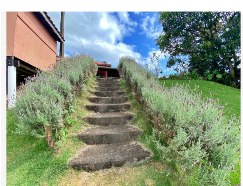Chácara à venda Mirante do Matão I com 2000m² e 3 quartos por R$ 700.000 - 661039203-20230404-123333.jpg