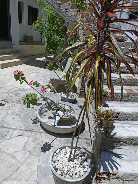 Casa de condomínio à venda Curado com 70m² e 8 quartos por R$ 600.000 - 1938485649-img-20220122-103440.jpg