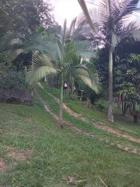 Chácara à venda Centro com 1000m² e 1 quarto por R$ 300.000 - 1443577333-whatsapp-image-2022-05-13-at-20.jpeg