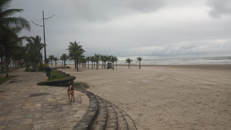 Casa à venda Jardim Imperador com 250m² e 3 quartos por R$ 350.000 - 324804981-img-20230211-wa0201.jpg