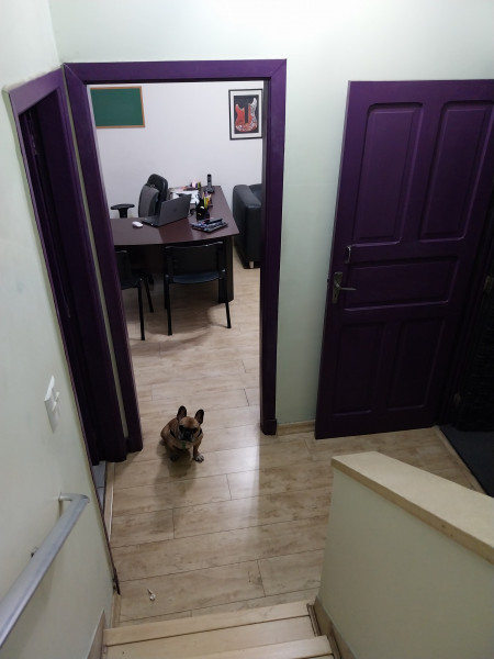 Comercial à venda Alto da Mooca com 200m² e 1 quarto por R$ 180.000 - 114143869-20230721-174826.jpg