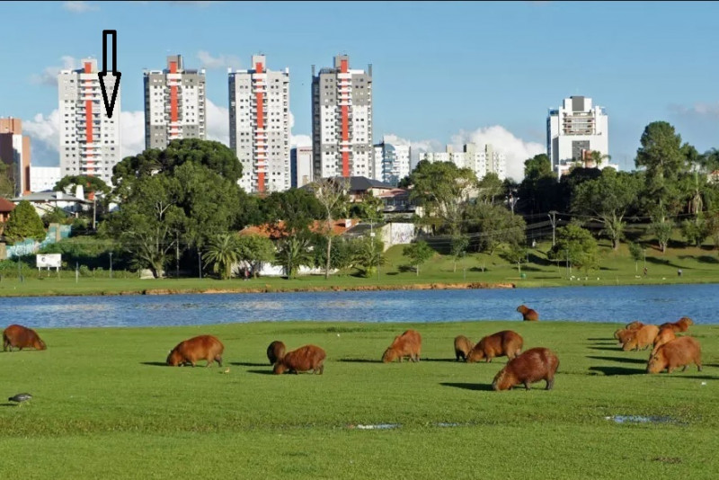 Apartamento à venda Bigorrilho com 126m² e 4 quartos por R$ 1.390.000 - 1593336900-parque.jpg