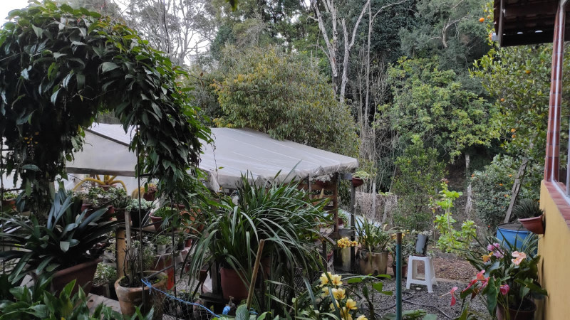 Casa à venda Santo Inácio com 250m² e 4 quartos por R$ 980.000 - 1170093206-whatsapp-image-2023-07-10-at-20.jpeg