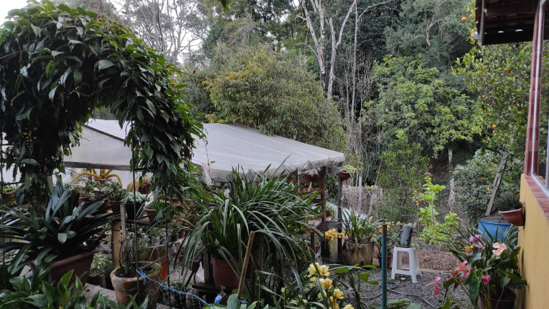 Casa à venda Santo Inácio com 250m² e 4 quartos por R$ 980.000 - 906852549-whatsapp-image-2023-07-05-at-21.jpeg