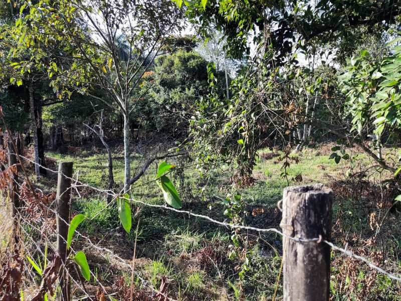 Terreno à venda Caiapós com 2425m² e 1 quarto por R$ 560.000 - 812949589-whatsapp-image-2023-07-18-at-9.jpeg