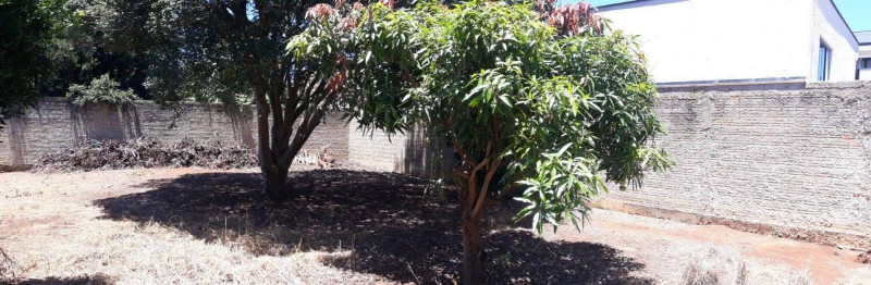 Casa à venda Uvaranas com 735m² e 2 quartos por R$ 485.000 - 339640657-whatsapp-image-2023-07-19-at-16.jpeg