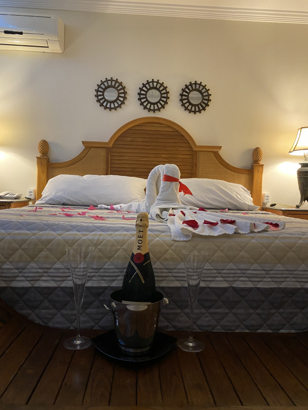 Comercial à venda alto de buzios com 1300m² e 1 quarto por R$ 5.500.000 - 414155614-img-8645.JPG