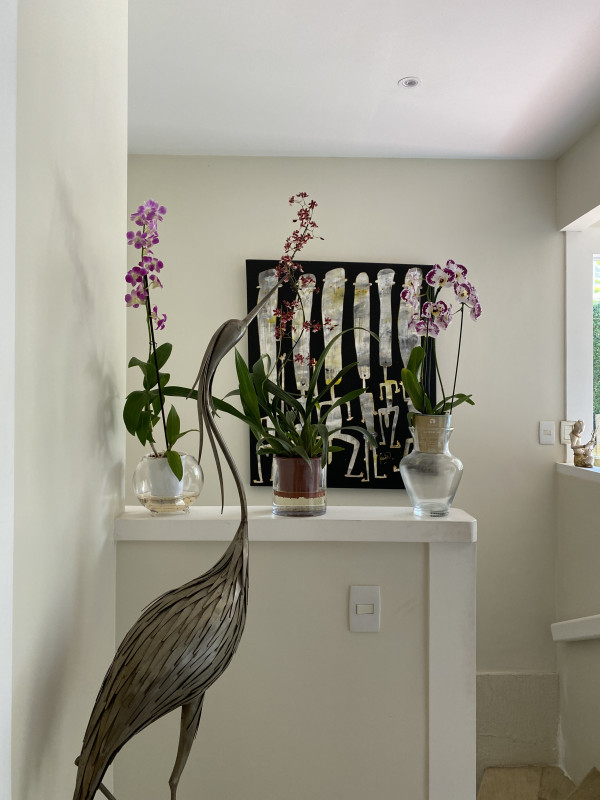 Comercial à venda alto de buzios com 1300m² e 1 quarto por R$ 5.500.000 - 712554654-img-8266.JPG