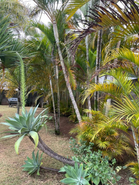 Casa de condomínio à venda Parque Village Castelo com 500m² e 3 quartos por R$ 2.700.000 - 129073830-65.jpg