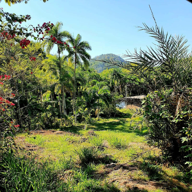 Sítio à venda Centro com 176000m² e 6 quartos por R$ 1.800.000 - 1971694217-whatsapp-image-2023-07-20-at-11.jpeg