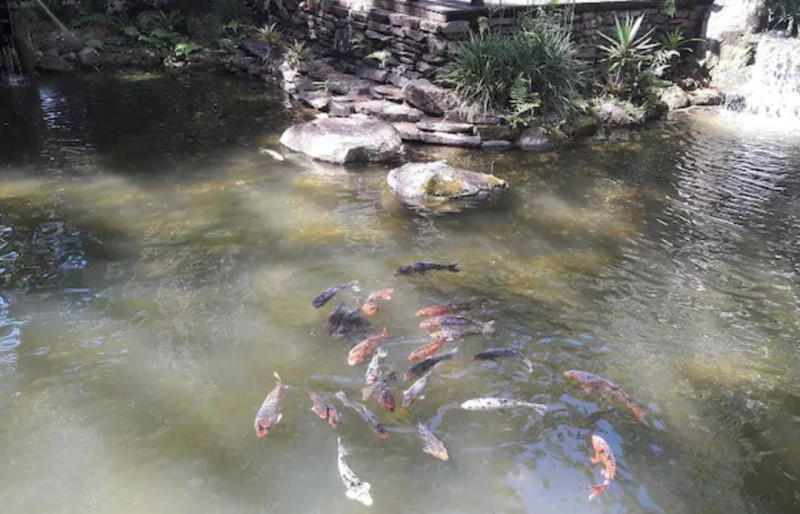 Apartamento à venda Vila Suica com 70m² e 1 quarto por R$ 790.000 - 505163150-img-20221013-wa0019.jpg