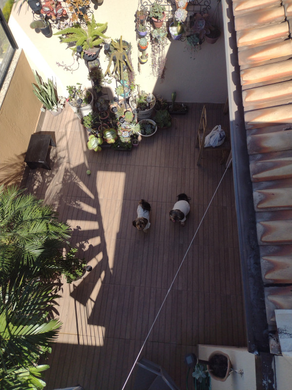 Cobertura à venda Jardim Camburi com 146m² e 3 quartos por R$ 840.000 - 1036987145-img-20230707-102355882.jpg