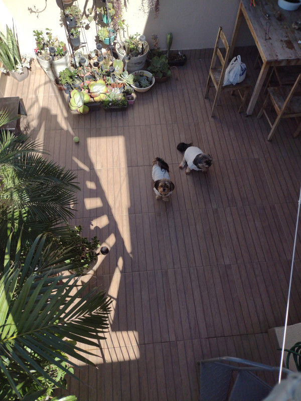 Cobertura à venda Jardim Camburi com 146m² e 3 quartos por R$ 840.000 - 1544775265-img-20230707-102427284.jpg