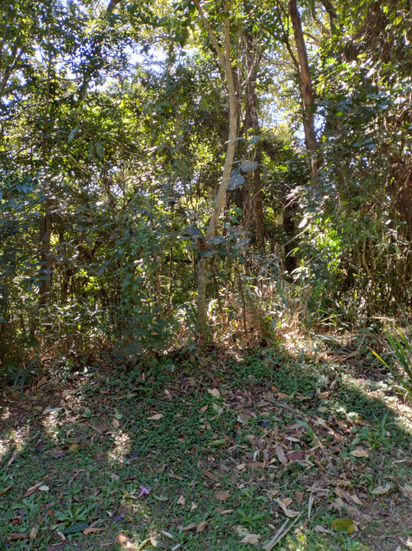Terreno à venda Parque Suica com 700m² e 1 quarto por R$ 170.000 - 1769656102-img-20230619-114243769-hdr.jpg