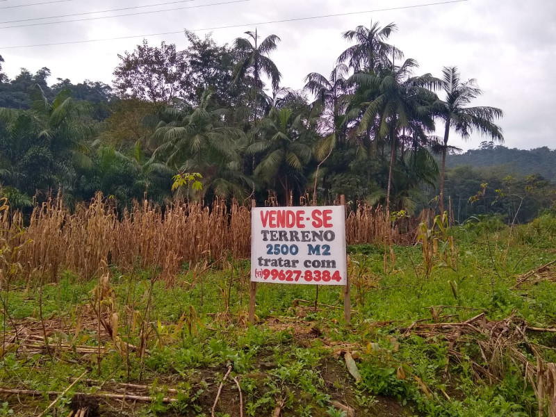 Terreno à venda Rio Cerro I com 2500m² e 1 quarto por R$ 330.000 - 111621986-whatsapp-image-2023-07-11-at-07.jpeg