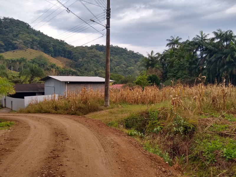 Terreno à venda Rio Cerro I com 2500m² e 1 quarto por R$ 330.000 - 1221001567-whatsapp-image-2023-07-11-at-07.jpeg