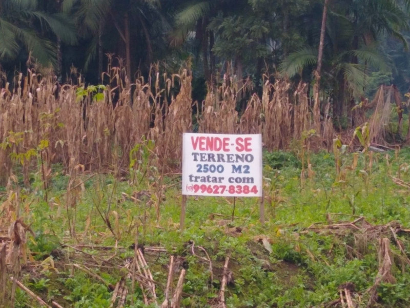 Terreno à venda Rio Cerro I com 2500m² e 1 quarto por R$ 330.000 - 631390325-whatsapp-image-2023-07-11-at-07.jpeg
