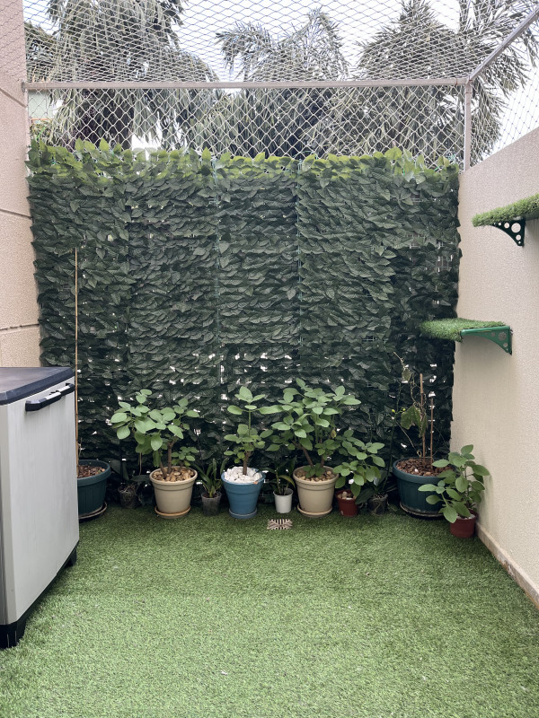 Apartamento à venda Jardim Ampliação com 55m² e 2 quartos por R$ 380.000 - 991369029-img-9323.jpeg