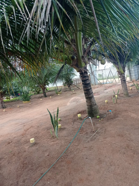 Apartamento à venda Centro com 4400m² e 2 quartos por R$ 220.000 - 1224514159-9.jpeg