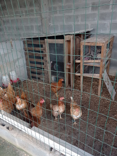 Apartamento à venda Centro com 4400m² e 2 quartos por R$ 220.000 - 1394694663-11.jpeg