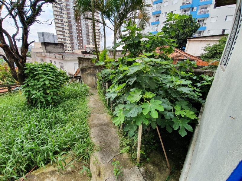 Casa à venda Centro com 352m² e 2 quartos por R$ 1.350.000 - 1437753447-874b5db7-6591-4780-b02b-610935c6620b.jpeg