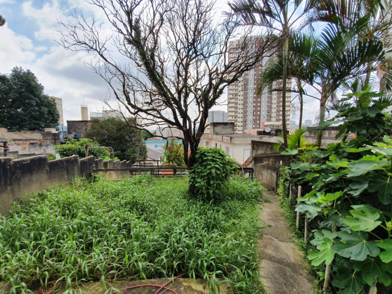 Casa à venda Centro com 352m² e 2 quartos por R$ 1.350.000 - 291949273-fe16952b-364f-4b08-9cdc-e7a7aa23ec1e.jpeg