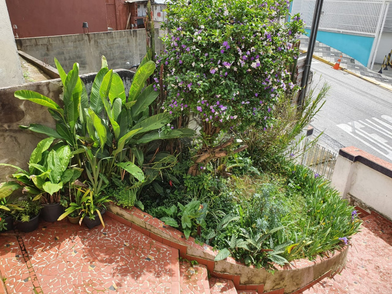 Casa à venda Centro com 352m² e 2 quartos por R$ 1.350.000 - 669451769-9663e849-0830-480f-8582-10d0c6b4a006.jpeg