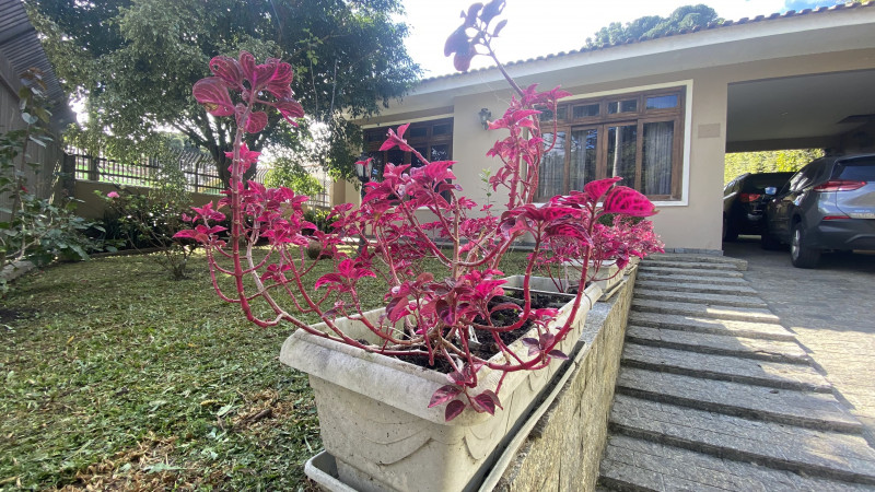 Casa à venda Pilarzinho com 265m² e 3 quartos por R$ 1.320.000 - 1477756471-img-2010.jpg