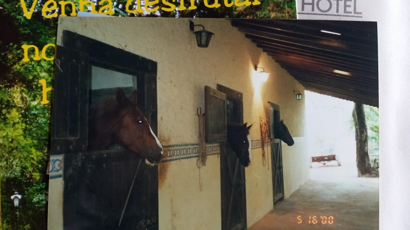 Sítio à venda Centro com 115000m² e 16 quartos por R$ 2.900.000 - 13339140-whatsapp-image-2022-01-26-at-16.jpeg