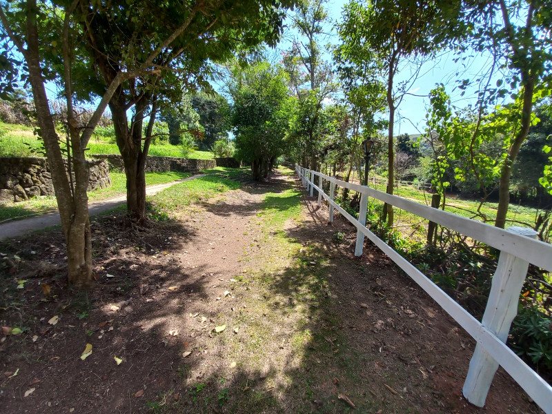 Sítio à venda Centro com 115000m² e 16 quartos por R$ 2.900.000 - 1472933736-9.jpg