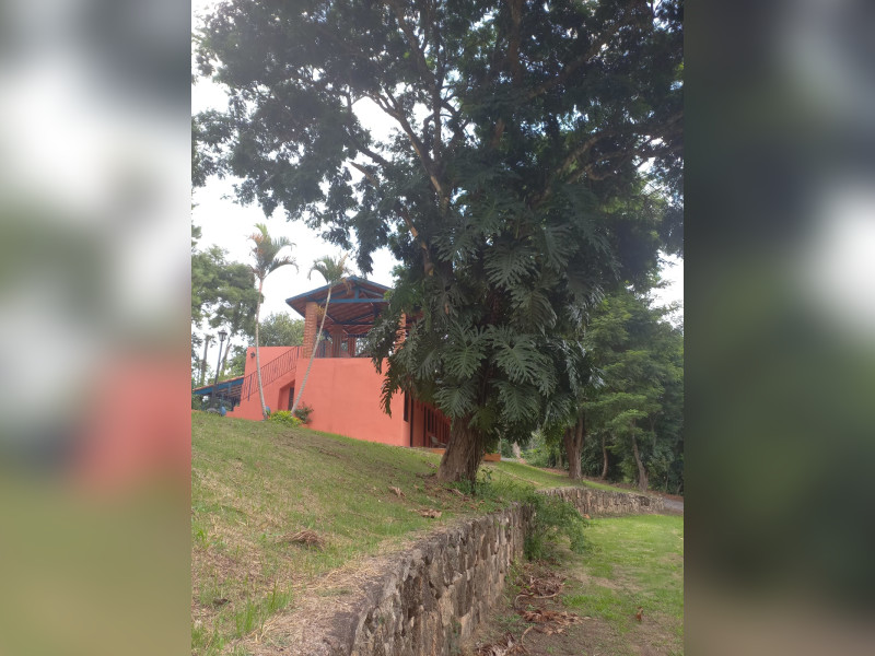 Sítio à venda Centro com 115000m² e 16 quartos por R$ 2.900.000 - 30-arvore-com-costelas-de-adao.jpeg