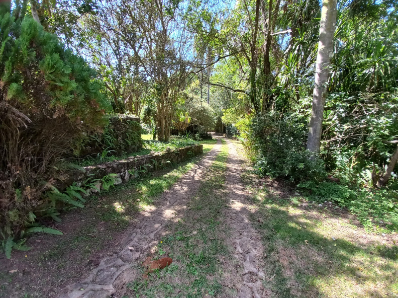 Sítio à venda Centro com 115000m² e 16 quartos por R$ 2.900.000 - 963306890-18.jpg