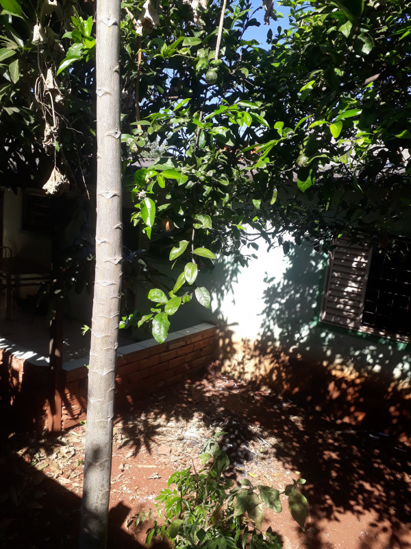 Casa à venda Jardim Brasilia com 60m² e 2 quartos por R$ 255.000 - 1047441962-16904774394362020565008503589338.jpg