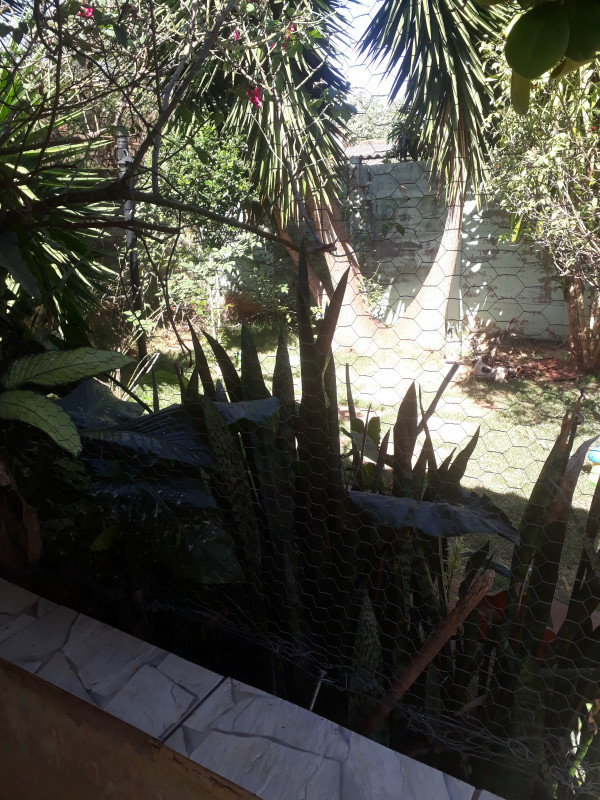 Casa à venda Jardim Brasilia com 60m² e 2 quartos por R$ 255.000 - 248376567-16904773797683382364612827749868.jpg