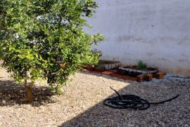 Casa à venda Parque das Arvores com 330m² - 3 dormitórios -  vagas - R$ 750.000 - 1272198527-img-20230707-124148002-hdr.jpg
