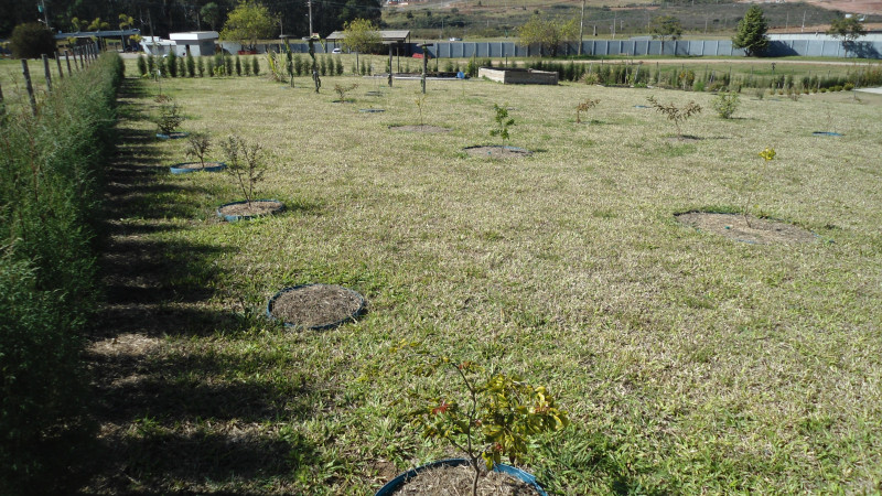 Casa de condomínio à venda Vila Brasil de Nossa Senhora Aparecida com 125m² e 3 quartos por R$ 1.200.000 - 1921786741-21.JPG