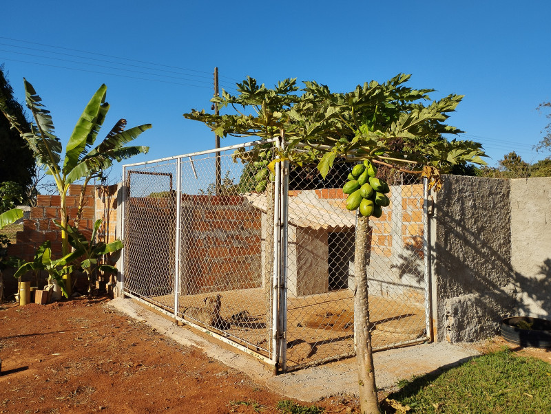 Casa de condomínio à venda Ponte Alta Norte (Gama) com 1000m² e 3 quartos por R$ 440.000 - 328276454-1000036727.jpg