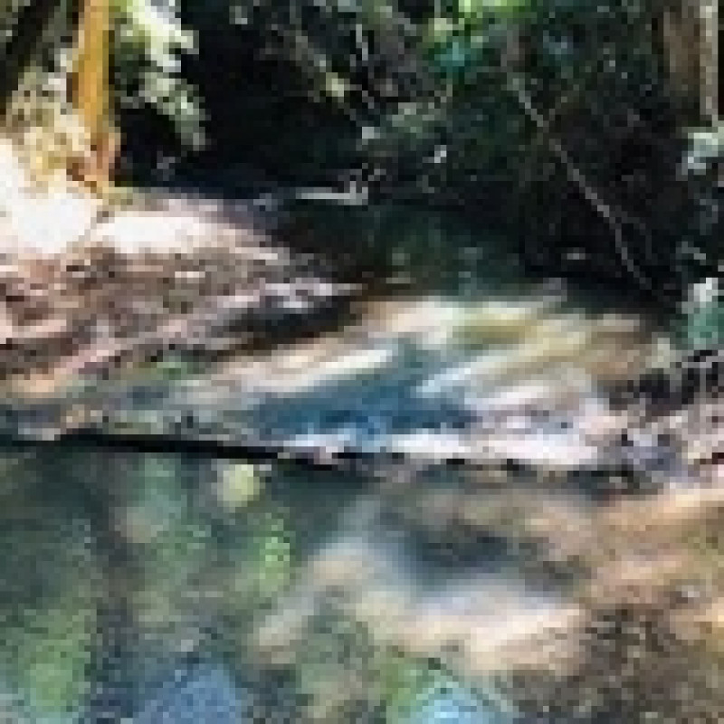 Terreno à venda Centro com 1019m² e 1 quarto por R$ 140.000 - 2058879667-riacho-mirante-da-serra-2-1-jpeg-09-013-af442f89.jpeg