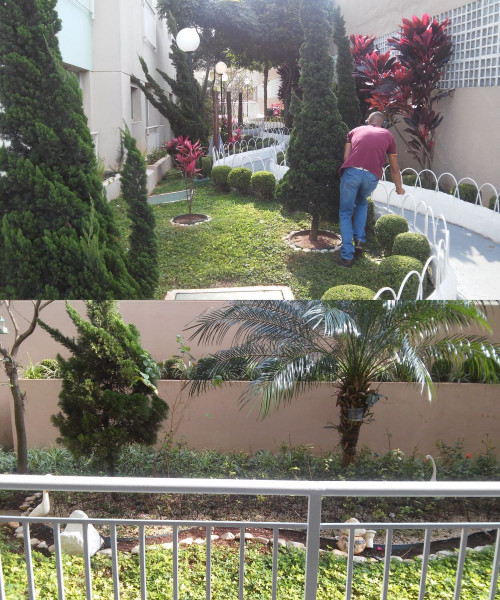 Apartamento à venda Canhema com 44m² e 2 quartos por R$ 260.000 - 317610742-verde.jpg