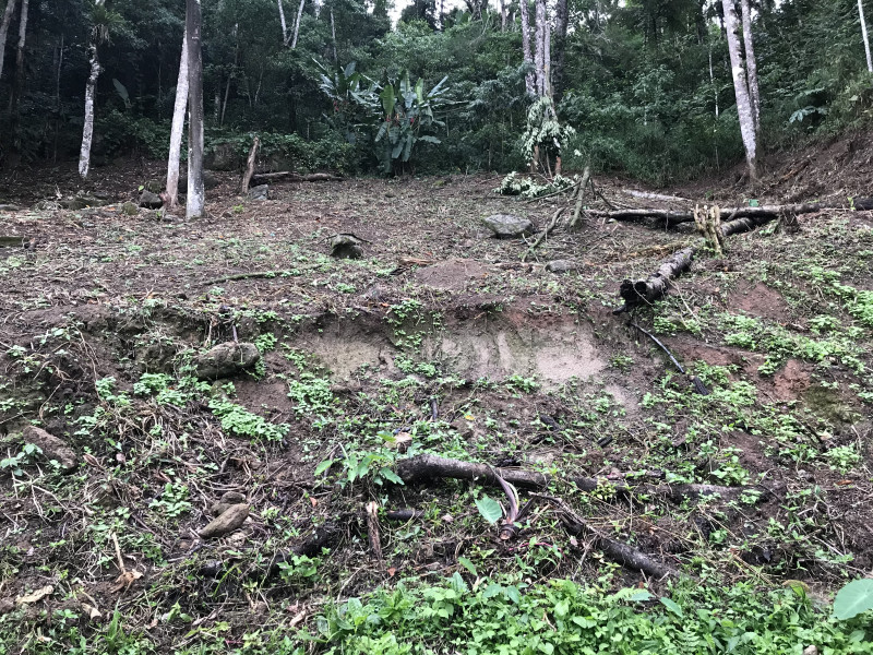 Terreno à venda Mury com 2117m² e 1 quarto por R$ 500.000 - 2117802602-28fc876c-d649-425f-8044-576764897e17.jpeg