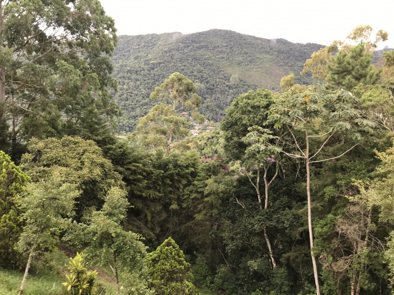 Terreno à venda Mury com 2117m² e 1 quarto por R$ 500.000 - 383798757-08f82026-824c-47f5-8477-40e0fb319179.jpeg